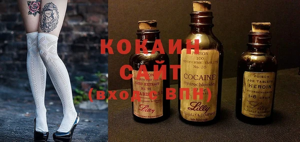гидра Слюдянка